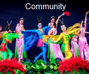 community dance performance
